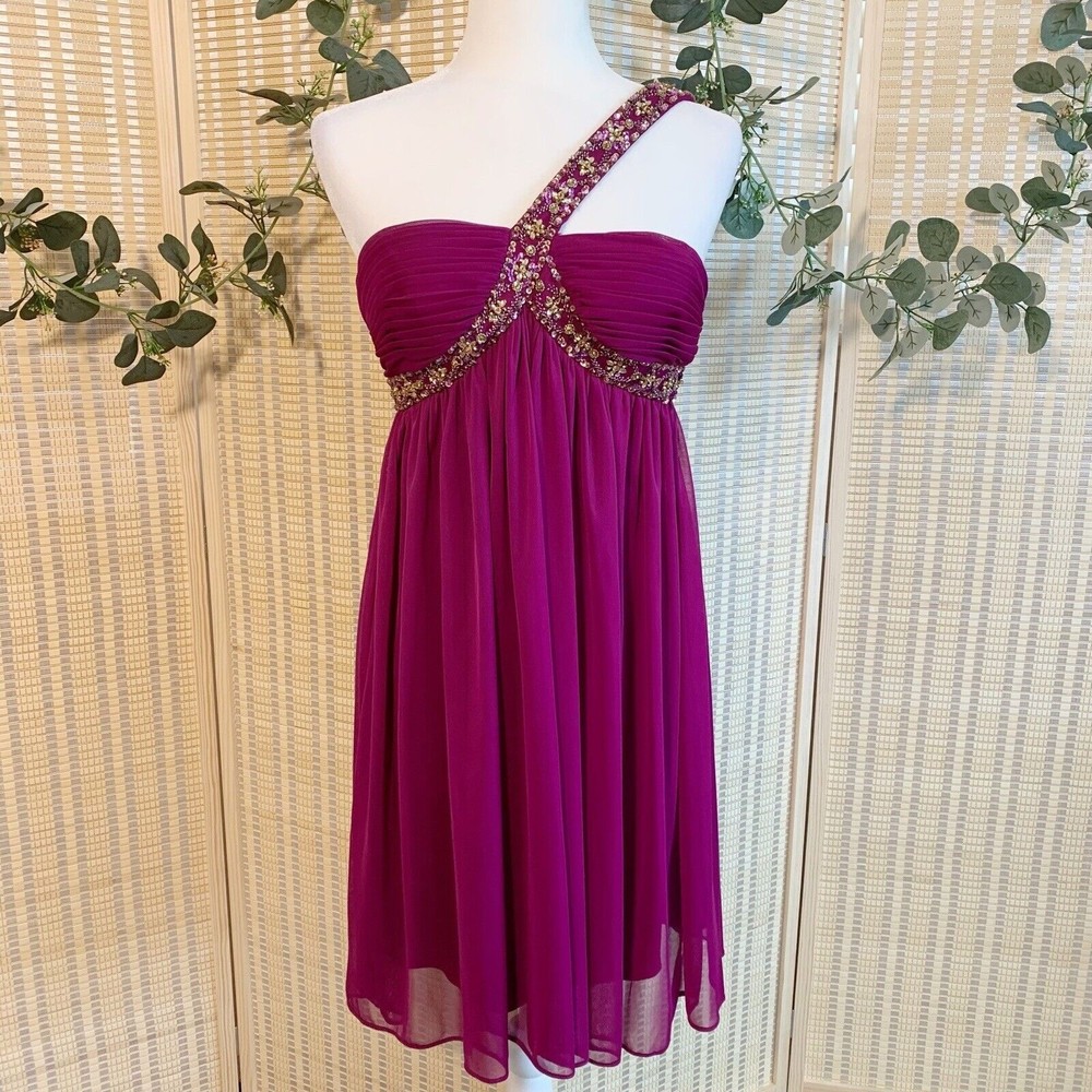 Xscape By Joanna Chen Formal Cocktail Chiffon Dress Size 4 Magenta One Shoulder